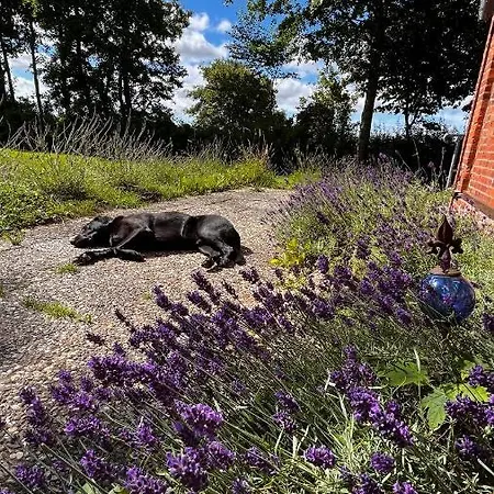 Alte Schule بيت ضيافة *