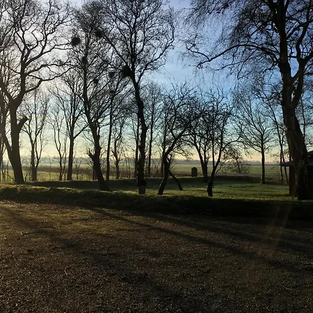 بيت ضيافة Alte Schule *